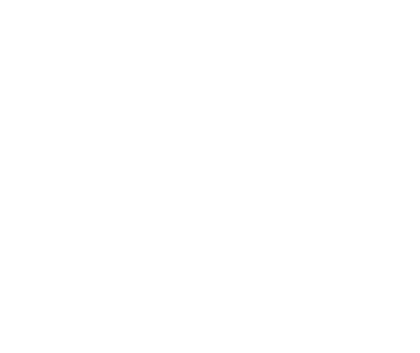 Cara InclVolunteer Logo WHT